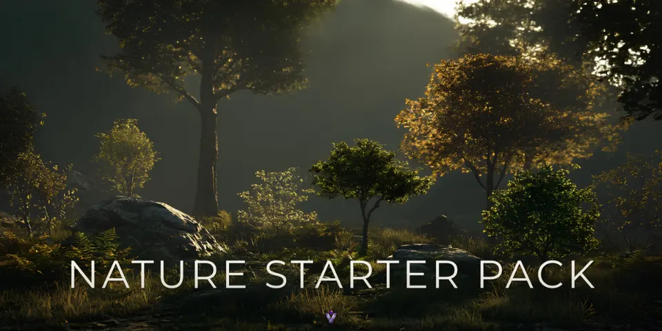 Nature Starter Pack – Stylized Nature Assets